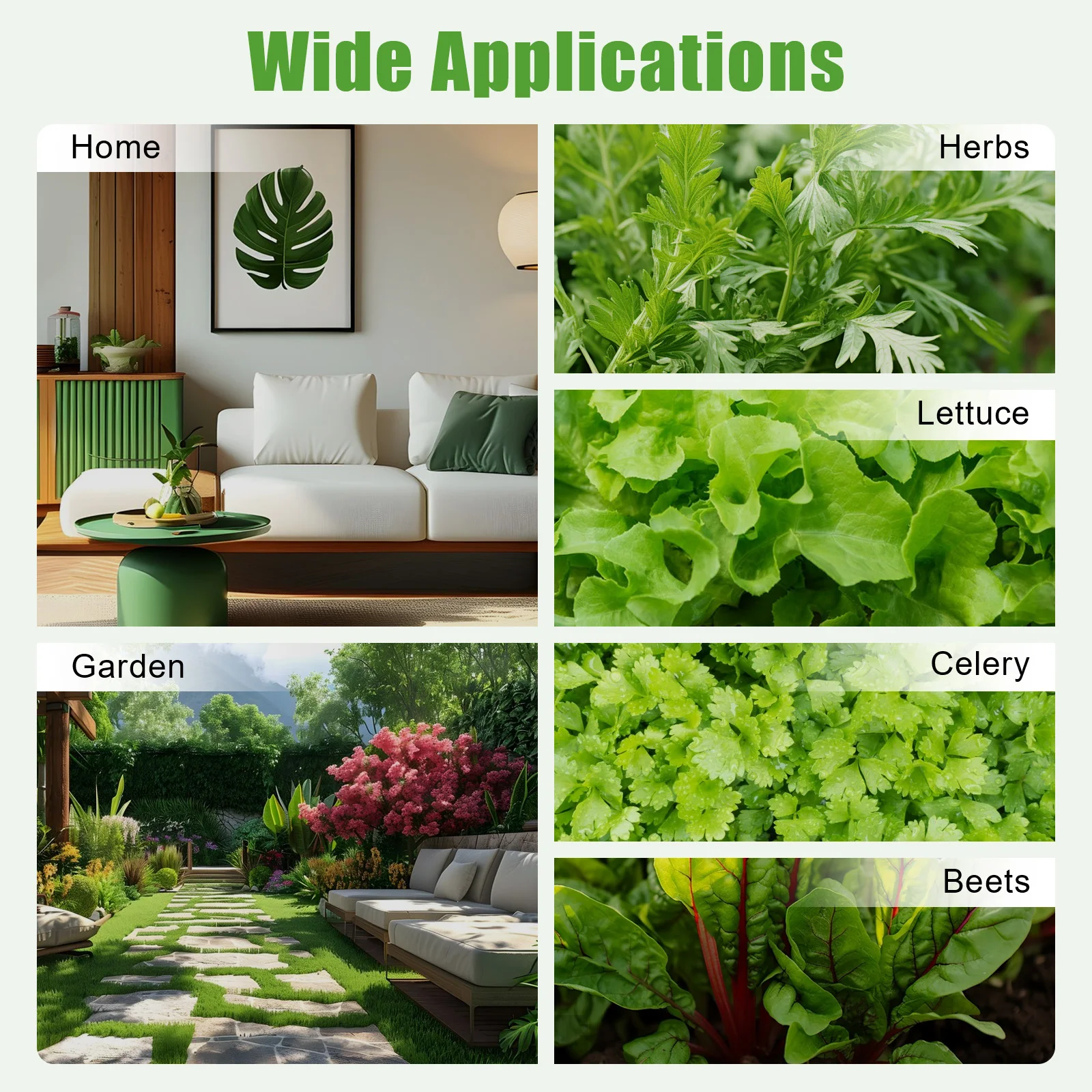 Hydroponic Grow Kit 36-Site Hydroponics Growing System for Leafy Vegetables Indoor Soilless Garden - Image 2