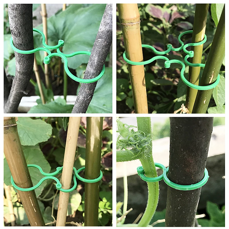 S/L Garden Vine Strapping Clips Plant Bundled Buckle Ring Holder Tomato Garden Plant Stand Tool 10-50Pcs Garden Decor Acc - Image 6