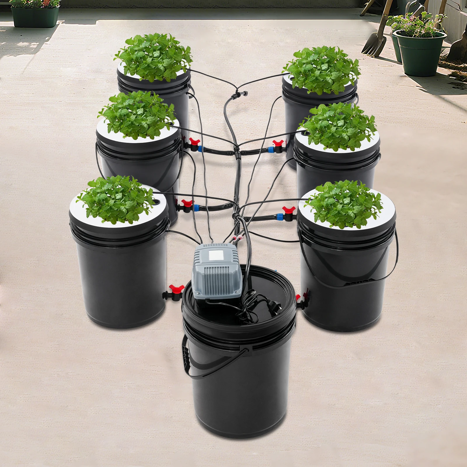Hydroponic System Kit 7 Buckets, 20L DWC Deep Water Culture Indoor Garden for Lettuce Tomatoes Strawberries with Air Pump - Image 2