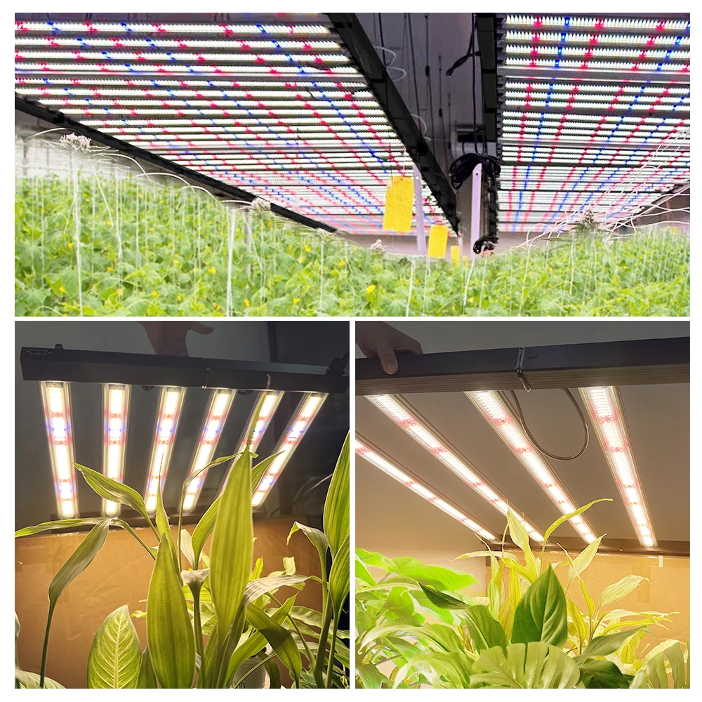 720W LED Grow Light Full Spectrum LM281B with UV IR Phytolamp 1280 PPFD For Indoor Grow Tent Planting - Image 6
