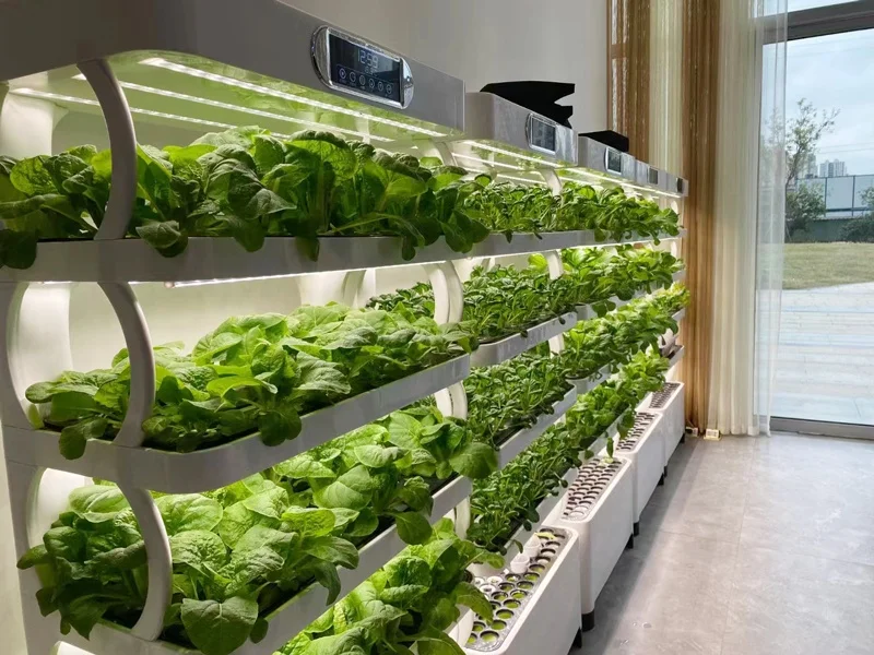 Microgreens and Vertical Complete Hydroponic System Easy Cultivation with Soilless Garden Planter Smart Led Grow Light - Image 4