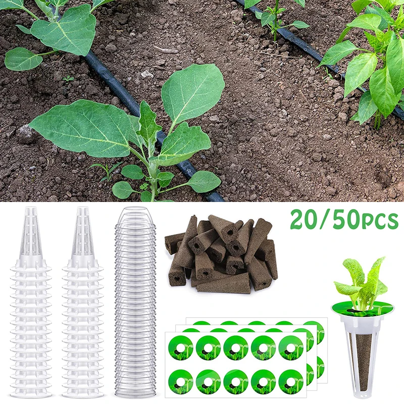 Hydroponics Growing Basket Soilless Culture Seed Nursery Pot Gardening Supplies 20/50pcs Transparent Seed Germination Mesh Pot - Image 2