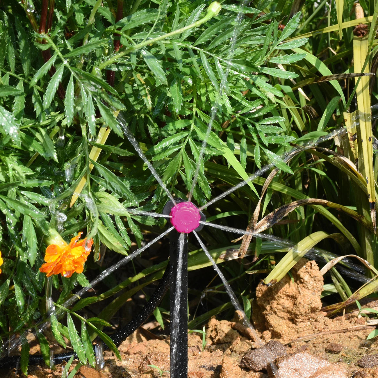 KESLA 5-50M Drip Irrigation Automatic Watering Saving System Kit 1/4inch Garden Hose Tools Adjustable Drippers for Greenhouse - Image 6