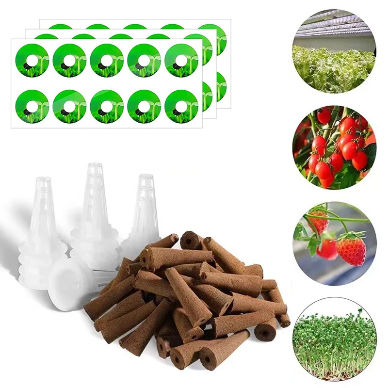 Hydroponics Growing Basket Soilless Culture Seed Nursery Pot Gardening Supplies 20/50pcs Transparent Seed Germination Mesh Pot - Image 3